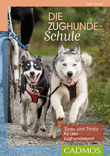 Die Zughunde-Schule: Tipps und Tricks für den Zughundesport